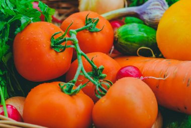 Taze organik sebze sepeti