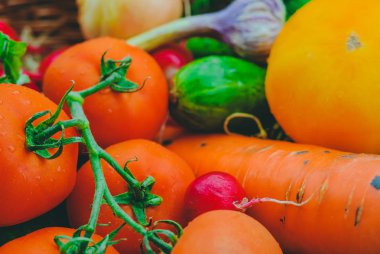 Taze organik sebze sepeti