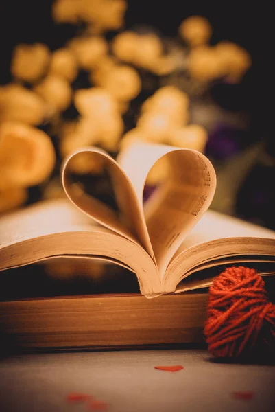 Libro con pagine piegate a forma di cuore — Foto Stock