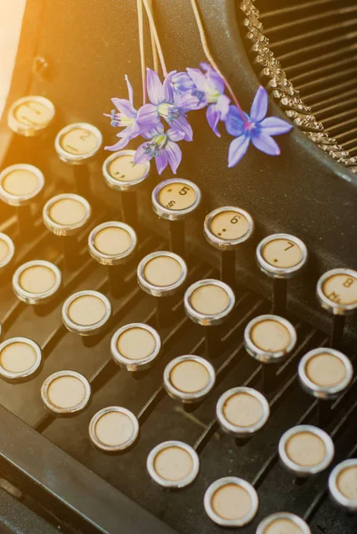 Antigo preto vintage máquina de escrever com flores de primavera românticas azuis — Fotografia de Stock
