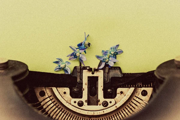 Velho antigo preto máquina de escrever vintage com flores de primavera românticas azuis — Fotografia de Stock