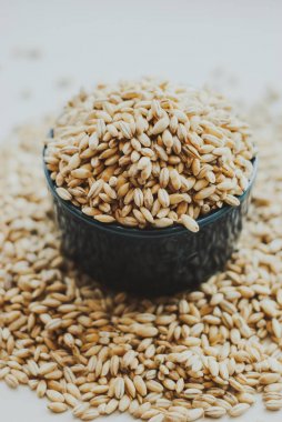 Pearl barley grain seeds. clipart