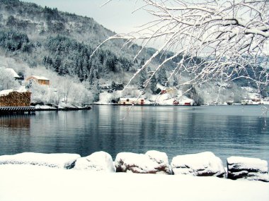 Kışın kar ile bir fiyort Norveçli bir kasaba