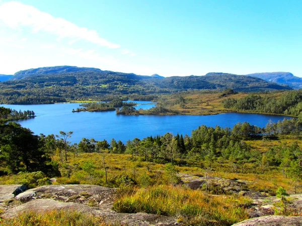 Un panorama norvegese in estate con foresta, cielo azzurro e fiordo — Foto Stock