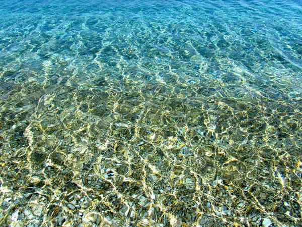 Turkuaz şeffaf deniz