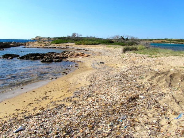 Plage Avec Poubelles Algues Été — Photo