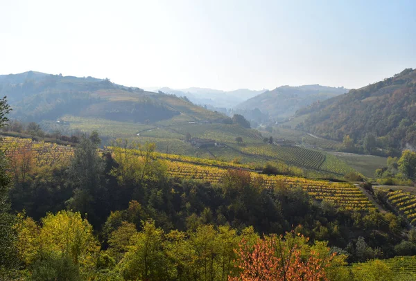 Die Landschaft Der Langhe Herbst Italien — Stockfoto
