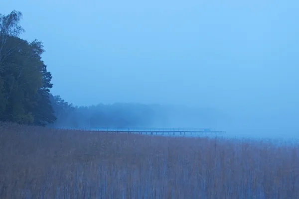 Πρωινό με ομίχλη στη λίμνη. Δροσερό Φθινοπωρινό πρωί — Φωτογραφία Αρχείου