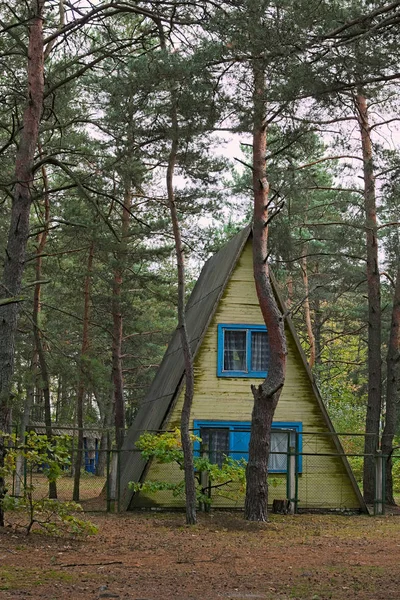 Один старый дом в лесу — стоковое фото