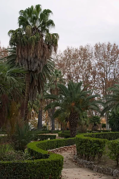 Удивительный парк красоты с извилистыми дорожками. Палермо. Сицилия — стоковое фото