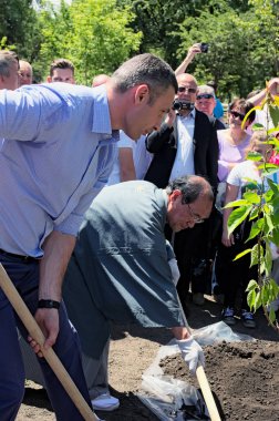 Kiev (Kiev), Ukraine04 Haziran 2017: Resmi açılış Kiev Kyoto parkının. Kiev Vitali Klitschko valisi ve Belediye Başkanı Kyoto Daisaku Kadokawa bir sakura ağacı dikme