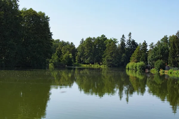 Озеро в Телч в Чехії з відбитих дерев, Чеська Республіка — стокове фото