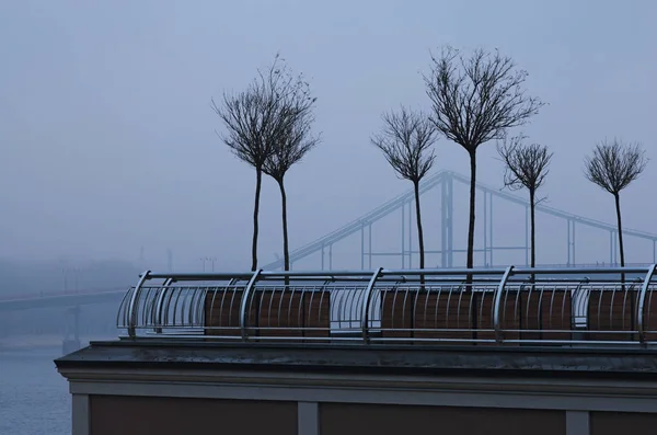 Fila de árboles jóvenes invernando en macetas de madera en la Plaza Poshtova (Poshtova Ploshcha, Plaza Postal) es una de las plazas históricas más antiguas de la ciudad. Paisaje nebuloso matutino. Kiev, Ucrania —  Fotos de Stock