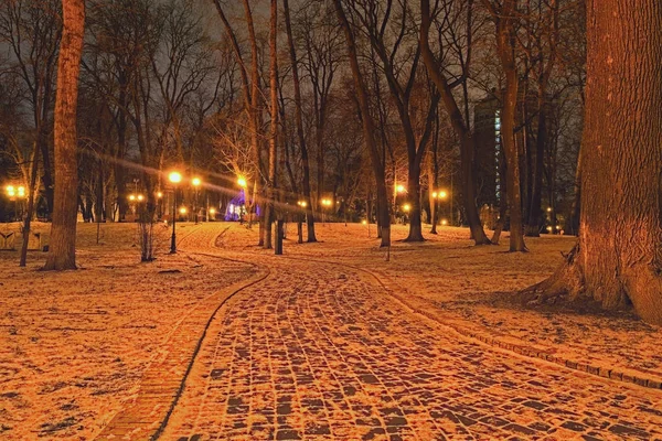 Sabahın erken saatlerinde Mariyinsky Park gizemli kış manzarası. Işıklı çelenk ile dekore çeşme dolambaçlı bir yol açar. Kiev. Ukrayna — Stok fotoğraf