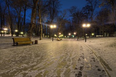 Kış sabahı Mariinsky parkta. Kış park banklar ve fenerler kenarlarında boş eğri sokak boyunca yürüyüş. Kiev. Ukrayna