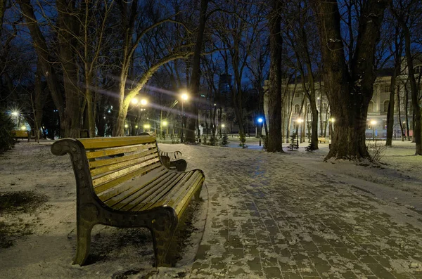 Kış sabahı Mariinsky parkta. Kış park banklar ve fenerler kenarlarında boş eğri sokak boyunca yürüyüş. Kiev. Ukrayna — Stok fotoğraf