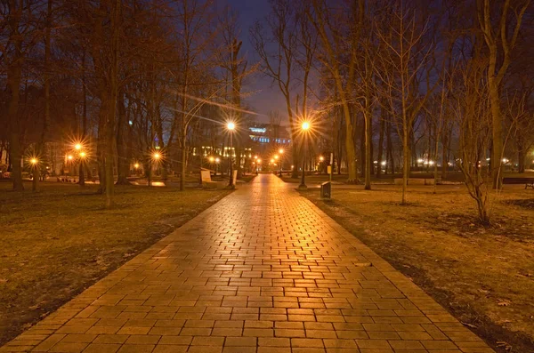 Місто в ніч downtown Київ. Пустельний шлях у парку Тараса Шевченка. За кілька годин до світанку — стокове фото