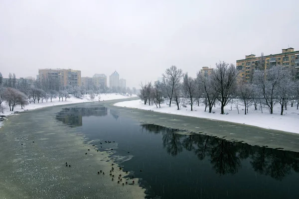 Área de habitação e o canal no gelo. Um típico bairro residencial "adormecido" na margem direita do Dnieper em Kiev. Ucrânia. Neve cobre árvores brunches e chão — Fotografia de Stock