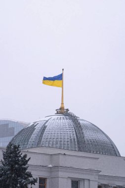 Ukraynalı bayrağı Kiev, Ukrayna (Ukrayna Verkhovna Rada) Parlamento üzerinde sallayarak. Kar yağışı sabah