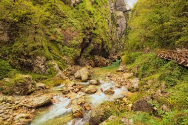 Astonishing view of Tolmin Gorge (Tolminska Korita). It located on the southern end of Triglav National Park. Concept of landscape and nature. Tolmin. Soca Valley, Slovenia