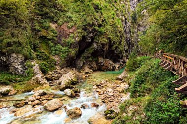 Boğaz boyunca dar ve dolambaçlı bir yol. Tolmin Boğazı (Tolminska Korita). Triglav Ulusal Parkı 'nın güney ucunda. Manzara ve doğa kavramı. Tolmin. Soca Vadisi, Slovenya