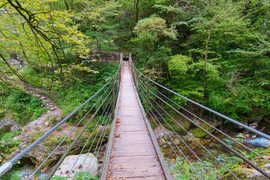 Zadlascica nehrinin temiz turkuaz suyunun üzerindeki tahta köprü yeşil ağaçlarla çevrili. Tolmin Boğazı (Tolminska Korita). Triglav Ulusal Parkı. Soca Vadisi. Slovenya. Doğal bileşim