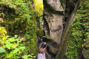 Büyük kaya oluşumları arasında asılı büyük bir kayanın manzarası. Adı Bears Head. Tolmin Boğazı (Tolminska Korita). Triglav Ulusal Parkı. Tolmin, Soca Vadisi, Slovenya. Doğal bileşim