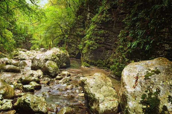 Живописный природный ландшафт во время прогулки к водопаду Козяк (Slap Kozjak). Защищенное природное сокровище. Национальный парк Триглав, Соцкая долина, Словения — стоковое фото