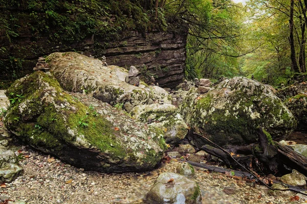 Mountain creek flowing between a forest between lush vegetation and stones covered by moss. Picturesque pathway to the Kozjak Waterfall (Slap Kozjak). National Park of Triglav, Soca valley, Slovenia — Stock Photo, Image