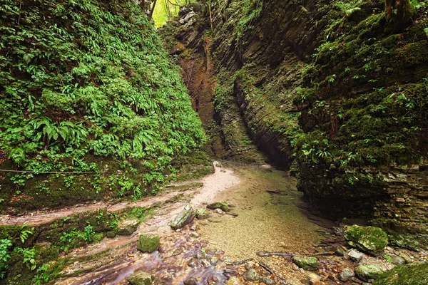 Malerischer Weg zum berühmten Kozjak-Wasserfall (slap kozjak). schmaler Pfad mit kleiner Brücke über den Fluss. geschützte Naturschätze. Nationalpark Triglav, Soca-Tal, Slowenien — Stockfoto