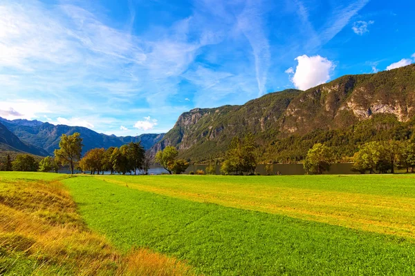 Szeroki kąt widok na krajobraz malowniczej łąki w pobliżu jeziora Bohinj (Bohinjsko jezero) z pasmem górskim w tle. Piękny słoneczny dzień, żywe błękitne niebo. Park Narodowy Triglav, Słowenia — Zdjęcie stockowe