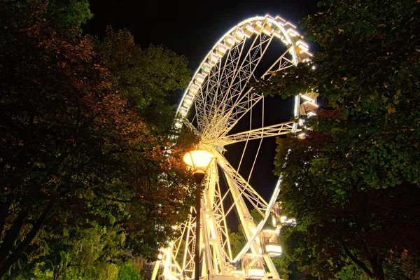 Gran noria (Budapest Eye) en el parque de la ciudad. Budapest Eye por la noche. Tree Leaves Border. Marco natural. Vista nocturna de otoño. Budapest, Hungría —  Fotos de Stock