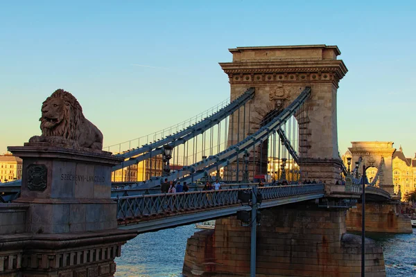 Budapest, 2019. október 01.Széles látószögű tájkép a középkori Lánchídra. Gyönyörű szobor oroszlánról és ősi lámpásról. Romantikus és békés jelenet — Stock Fotó