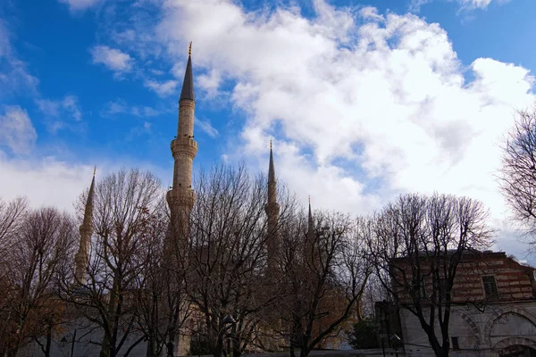 Vysoké minarety proti pestrobarevné živé obloze. Zimní krajinný pohled na mešitu sultána Ahmeda. Stromy bez listí v popředí. Koncept cestování a cestovního ruchu. Istanbul, Turecko — Stock fotografie