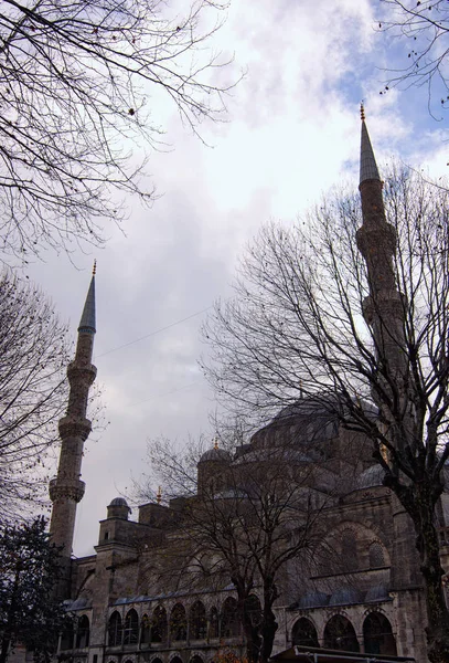 Minaretes altos contra o colorido céu vibrante. Vista da paisagem de inverno da mesquita Sultan Ahmed. Árvores sem folhas em primeiro plano. Viagens e turismo conceito. Istambul, Turquia — Fotografia de Stock
