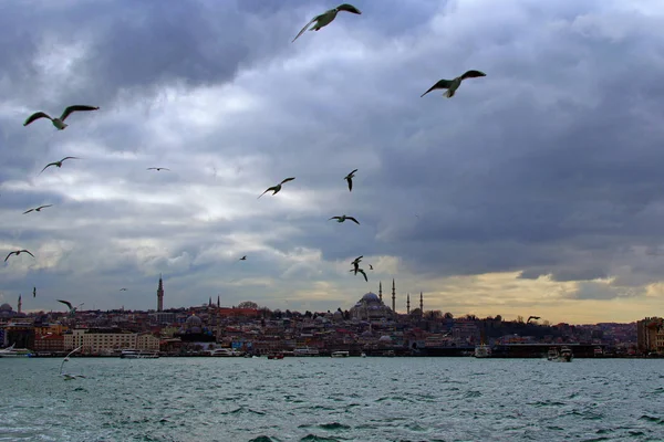 土耳其伊斯坦布尔- 2020年1月3日：博斯普鲁斯海峡全景和伊斯坦布尔的建筑。 白色的海鸥在海面上飞翔. 多云的冬日 — 图库照片