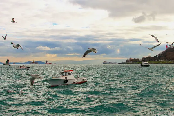 Bulutlu bir kış gününde Boğaz 'ın (İstanbul Boğazı) güzel manzarası. Beyaz martılar denizin üzerinde uçuyor. Deniz trafiği, gemiler ve botlarla dolu Boğaz.