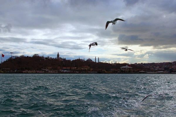 イスタンブール、トルコ- 2020年1月3日:ボスポラス(イスタンブールのボスポラス海峡)とイスタンブールの住宅建築物のパノラマロマンチックな景色。白いカモメが海の上を飛んでいる — ストック写真