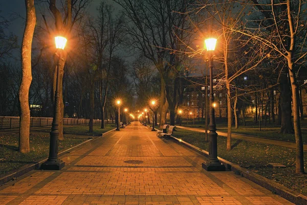 Aziz Vladimir Tepesi 'nin güzel gece ışıkları manzarası. Bankların ve fenerlerin olduğu ıssız bir ara sokak. Çıplak ağaçlar ve devrilmiş portakal yaprakları. Parkta sonbahar. Kyiv, Ukrayna — Stok fotoğraf