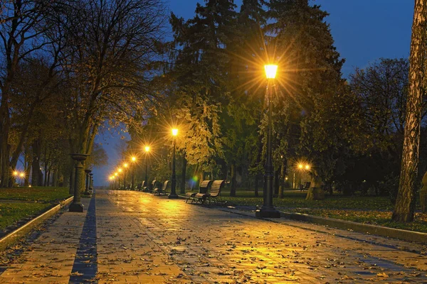 Geceleri Saint Volodymyr Tepesi 'nin romantik manzarası. Bankların ve fenerlerin olduğu ıssız bir ara sokak. Çıplak ağaçlar ve devrilmiş portakal yaprakları. Parkta sonbahar. Kyiv, Ukrayna — Stok fotoğraf