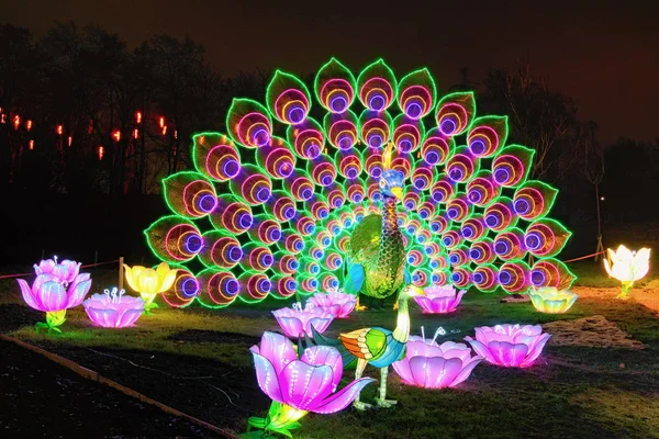 Kiev, Ucrania-25 de enero de 2020: Hermosa instalación de pavo real gigante iluminada por muchas linternas durante el Festival de linternas chinas . — Foto de Stock