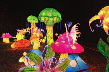 Kyiv, Ukrayna-25 Ocak 2020: Muhteşem bitkiler ve mantarlarla muhteşem bir yer. Çin fenerleri festivali sırasında birçok fenerle aydınlatılan figürler.