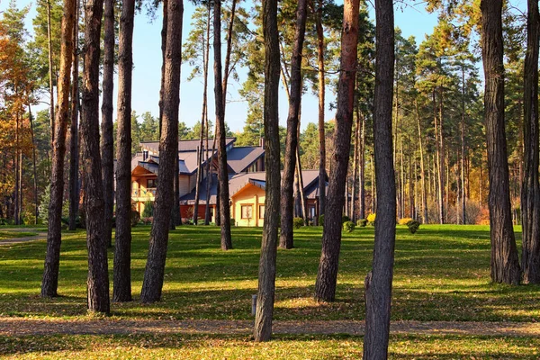 Natürliche Zusammensetzung der großen Holzhütte im Wald. Grünes Gras im Vorgarten. Blick durch Baumstämme. zweistöckiges Ferienhaus an einem schönen sonnigen Herbsttag — Stockfoto