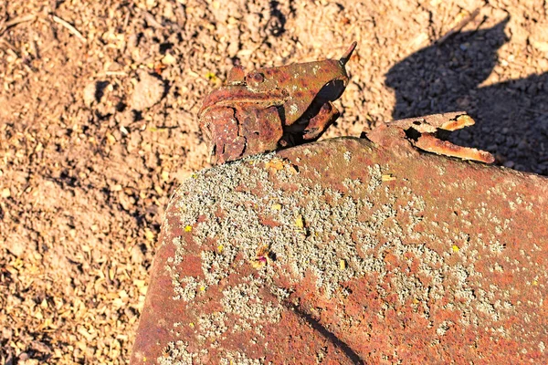 Close View Narrow Neck Old Smashed Rusty Jerrican Old Rusty — Stock Photo, Image