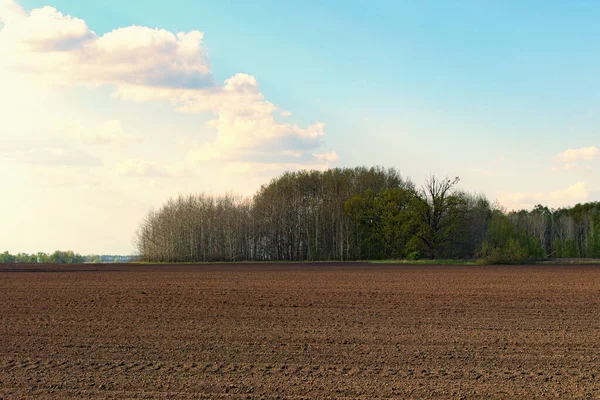 Beautiful spring landscape. Agriculture field with freshly tilled soil and till marks and textures in the dirt makes. Group of trees and bushes in the background of a plowed field.