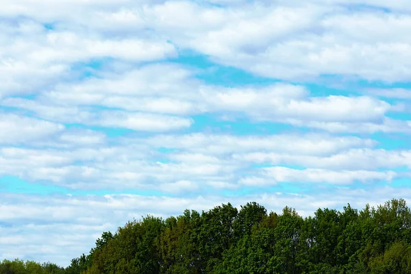 风景如画的自然概念 春天的早晨 绿树成荫 蓝蓝的天空映衬着美丽的云彩 乌克兰 — 图库照片