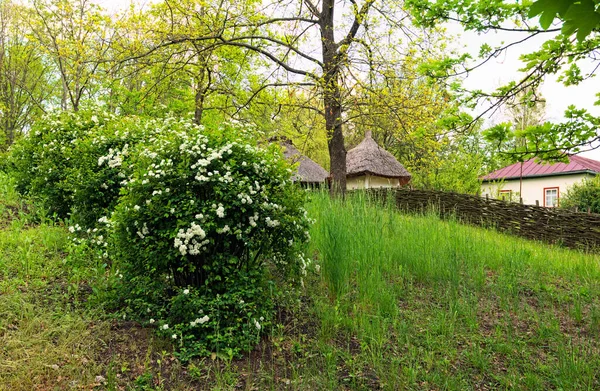 Pereyaslav Ucrânia Maio 2020 Vista Panorâmica Tradicional Casa Ucraniana Com — Fotografia de Stock