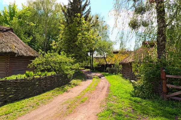 Güneşli Bahar Gününde Ukrayna Köyündeki Tipik Kırsal Sokak Manzarası Geniş — Stok fotoğraf