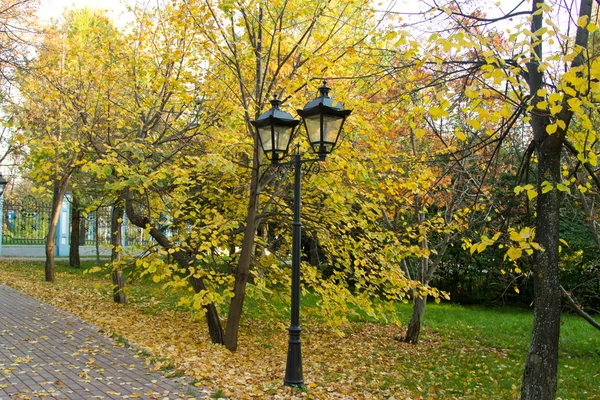 Ferro lâmpadas de rua no parque de outono . — Fotografia de Stock