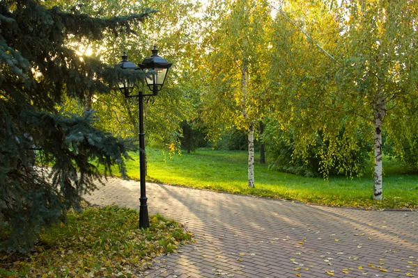 Vas utcai lámpák az őszi parkban. — Stock Fotó
